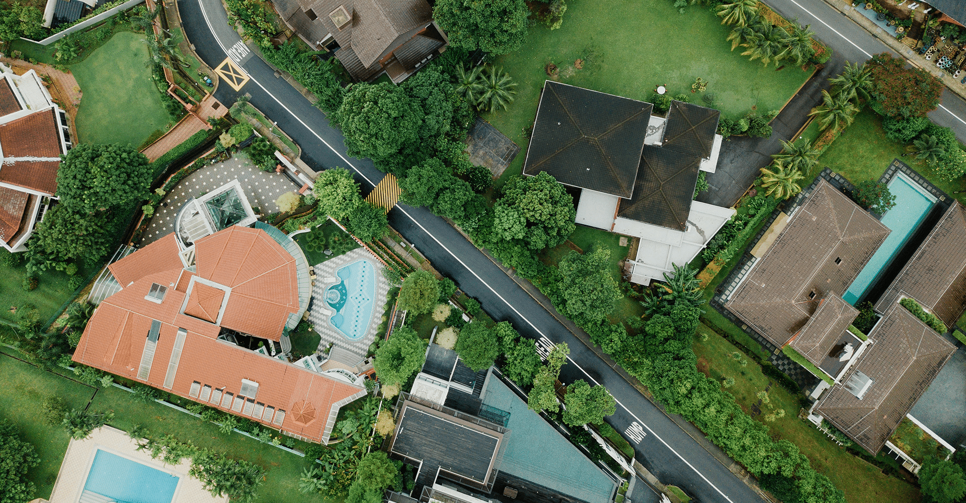 birds eye view of luxury homes with pools in very green lush neighborhood